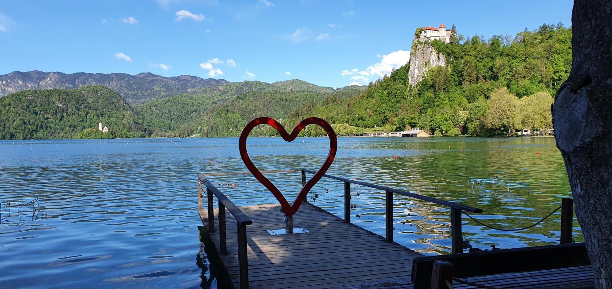Apartma Jezerci Apartment Bled Cameră foto